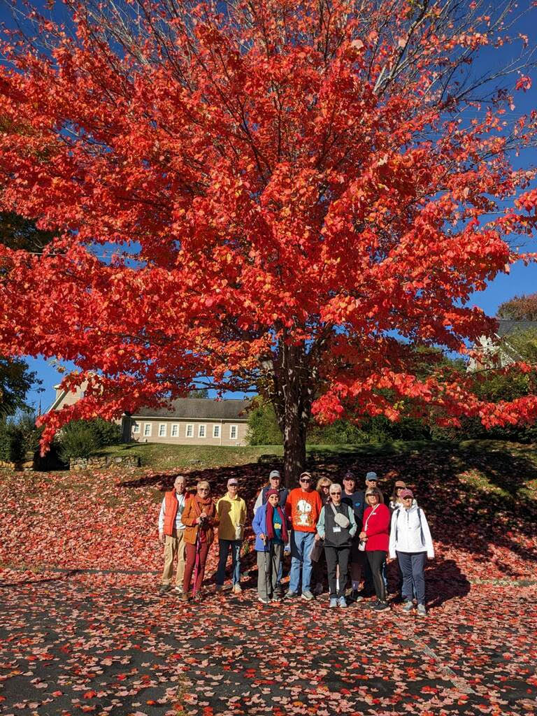 Waynesville Fall